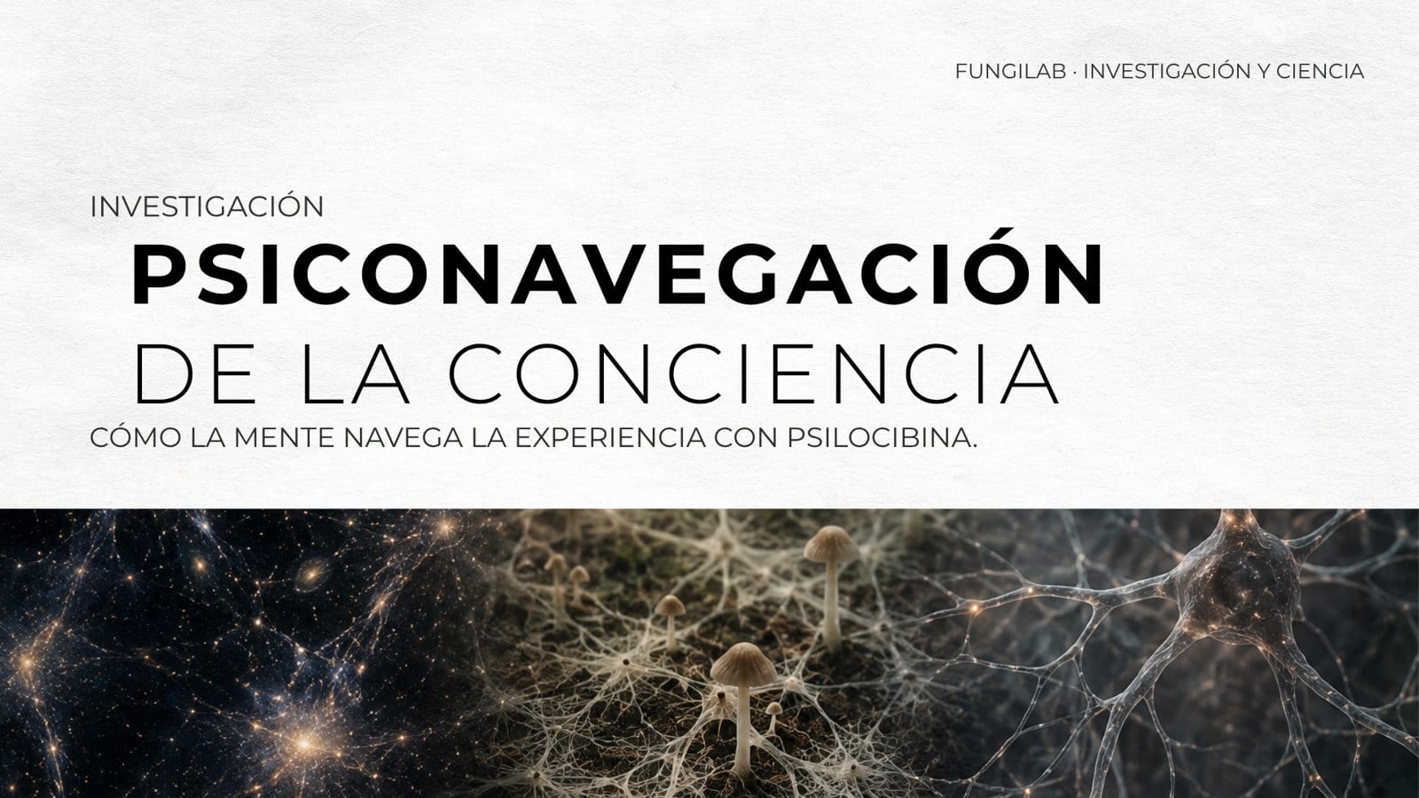 Psiconavegación de la Conciencia