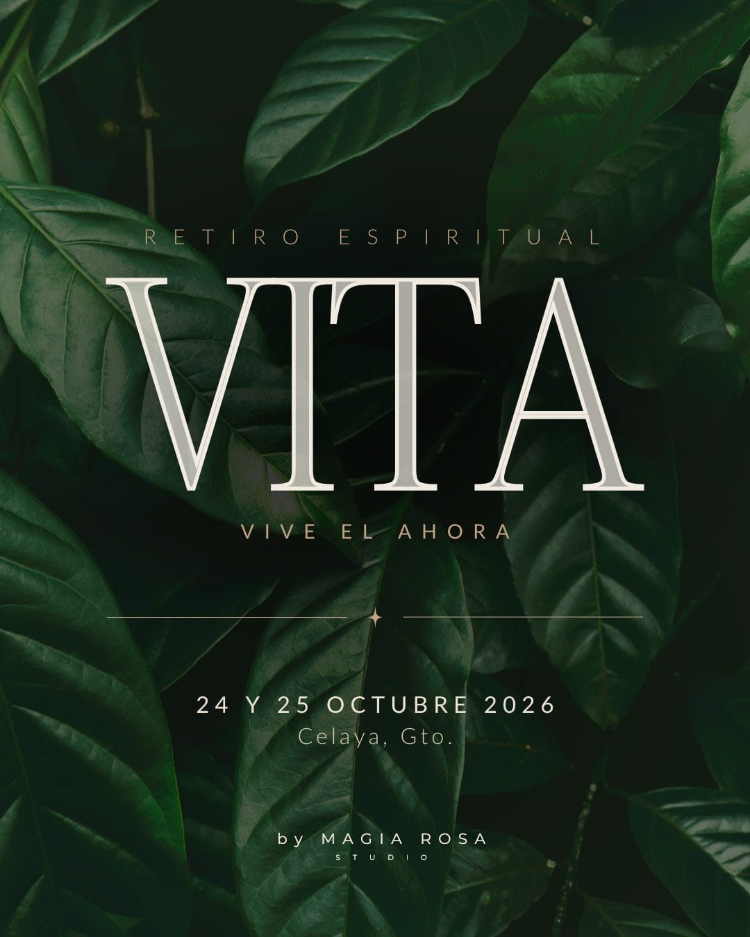 Retiro VITA · 28 y 29 de noviembre 2026