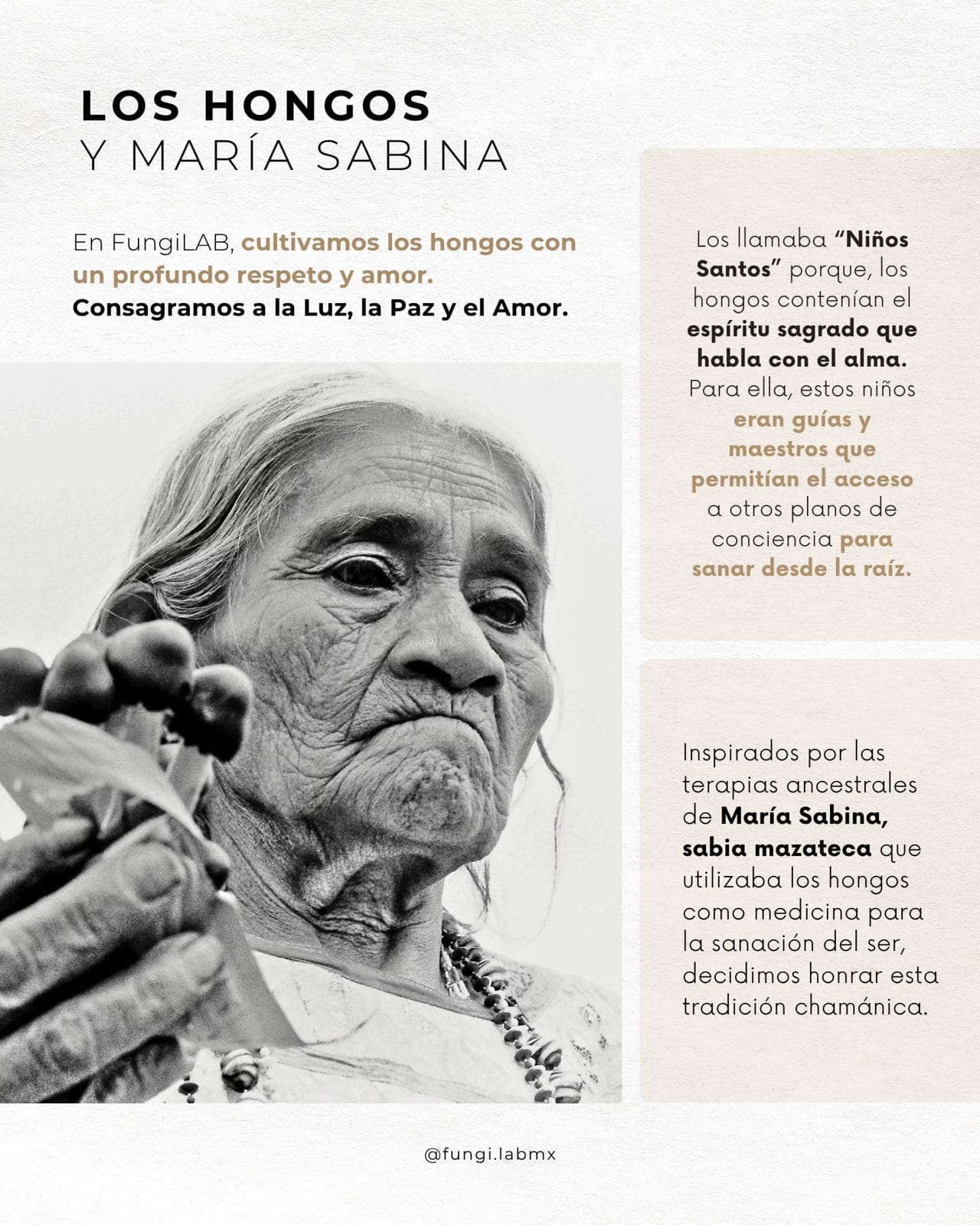 Los hongos y María Sabina