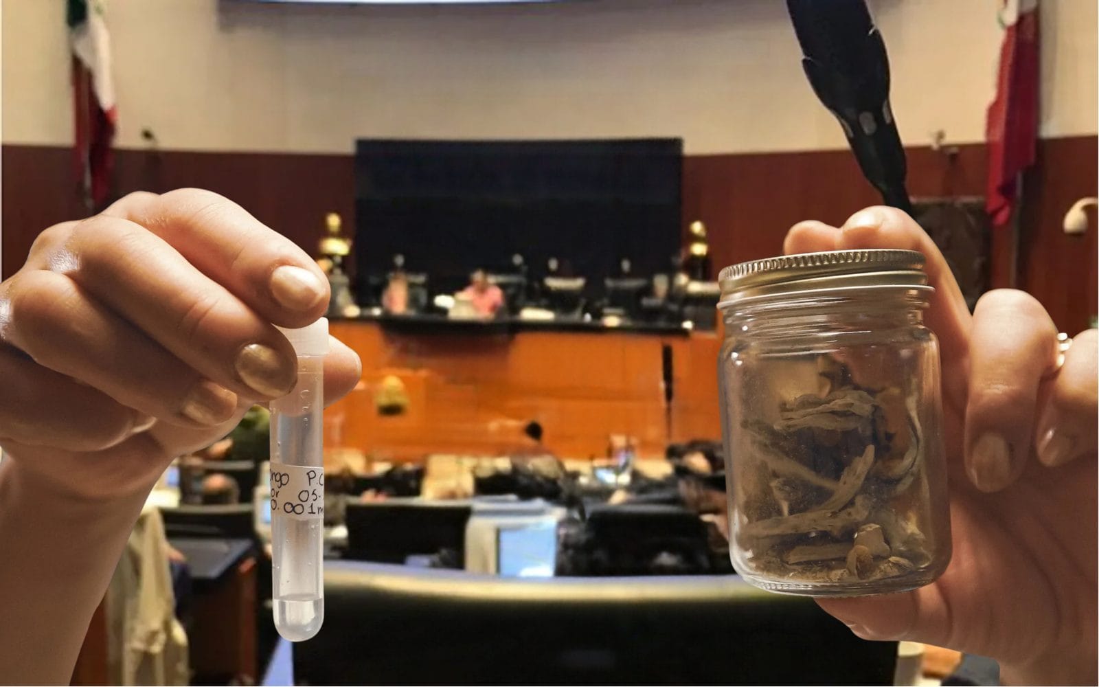 El tema llega al Senado